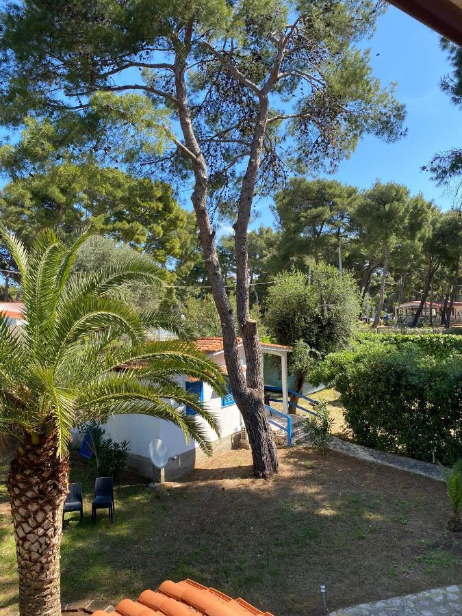 Appartamenti La Villa Peschici Εξωτερικό φωτογραφία