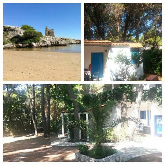 Appartamenti La Villa Peschici Εξωτερικό φωτογραφία